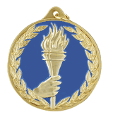 2 1/2" Medals - Achievement Torch Design with Neck Ribbon