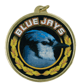 2 1/4" Blue Jays Medal