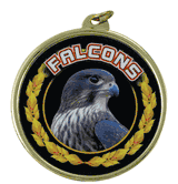 2 1/4" Falcons Medal