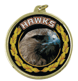 2 1/4" Hawks Medal