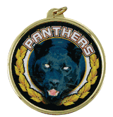 2 1/4" Panthers Medal