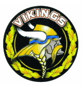 2 1/4" Vikings Medal