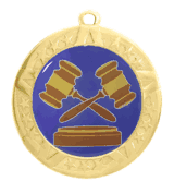 2 3/4" T-Series Medal with Gold Frame: Debate