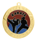 2 3/4" T-Series Medal with Gold Frame: Karate