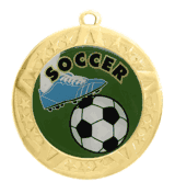 2 3/4" T-Series Medal with Gold Frame: Soccer