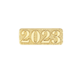 2023 Letter Pins