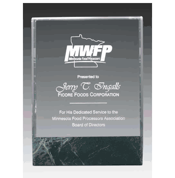 6" x 8" Marble Fusion Award - Click to enlarge