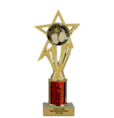 9 Fun and Inexpensive Pickleball Awards for Your Event