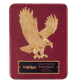 9" x 12" Soaring Eagle Plaque