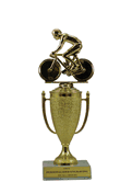 Achievement Cup Trophy - Biking