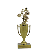 Achievement Cup Trophy - BMX