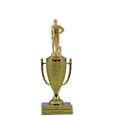 Achievement Cup Trophy - Cricket