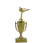 Achievement Cup Trophy - Karate