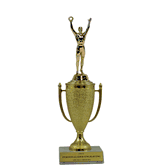 Achievement Cup Trophy - Victory