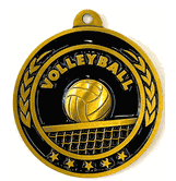 Classic Antique Gold Medal: Volleyball