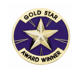 Award Winner Pin