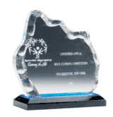 Blue Acrylic Iceberg Award