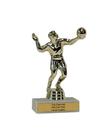 Budget Award Trophy with Volleyball Figure