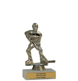 Budget Hockey Award Trophy