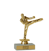 Budget Karate Award Trophy