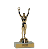 Budget Victory Award Trophy