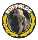 Buffalos Medal Mascot Medal Insert