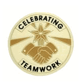 Celebrate Teamwork Medal Insert (Etched)