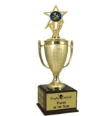 Champion's Trophy with 1st Place Insert