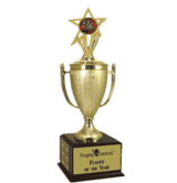 Champion's Trophy with 2nd Place Insert