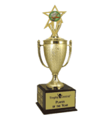 Champion's Trophy with Baking Insert