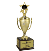 Champion's Trophy with Blank Engravable Insert