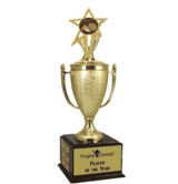 Champion's Trophy with Cheer Insert