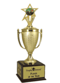 Champion's Trophy with Cycling Insert