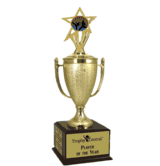 Champion's Trophy with Karate Insert