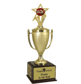 Champion's Trophy with Most Improved Insert