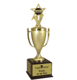 Champion's Trophy with MVP Insert