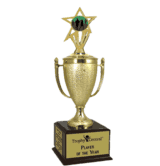 Champion's Trophy with Running Insert