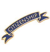 Chenille CITIZENSHIP Pins