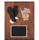 Eagle & Flag Plaque