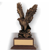 Eagle Leadership Award