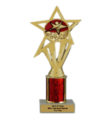 Economy Column Insert Trophy - Rising Star