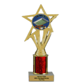 Economy Column Insert Trophy - Swimming