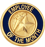 Employee Of The Month Pins (BR Series)