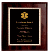 EMS Plaque