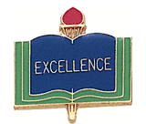 Excellence Pins