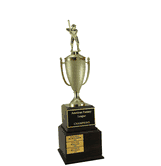 Fantasy Baseball Trophies