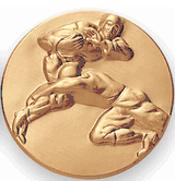 Football (504291) Litho Medal Insert