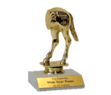 Funny / Gag Trophies