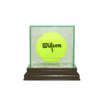 Glass Tennis Display Case