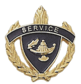 Gold Academic Service Pin